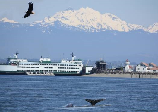 This opening is for a full-time permanent position and will remain open until filled.  We are open to filling at the DPA I and II level and welcome applications from entry level attorneys to attorneys with up to 12 years of experience.